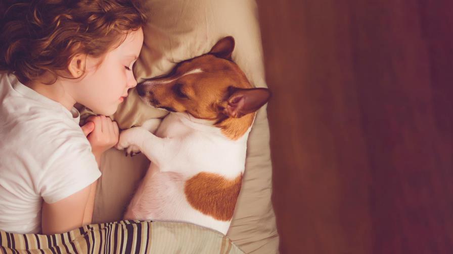 ¿Es bueno dormir con el perro en la cama?