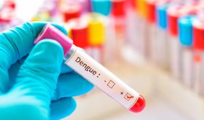 Síntomas del dengue: primeras señales para identificarlo a tiempo