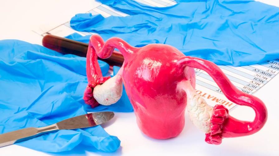 Episiotomía vaginal: ¿qué es y cuándo se recomienda? Episiotomía vaginal: ¿qué es y cuándo se recomienda?