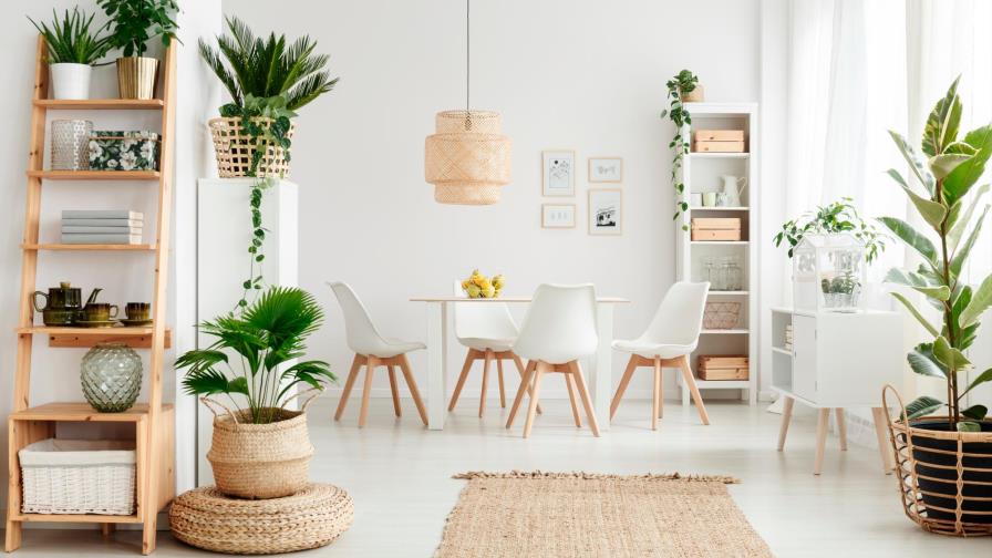 Esta decoración conecta con la naturaleza y preserva la vida