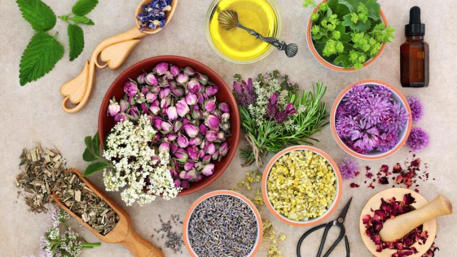 Usa estas plantas para reducir los síntomas de ansiedad