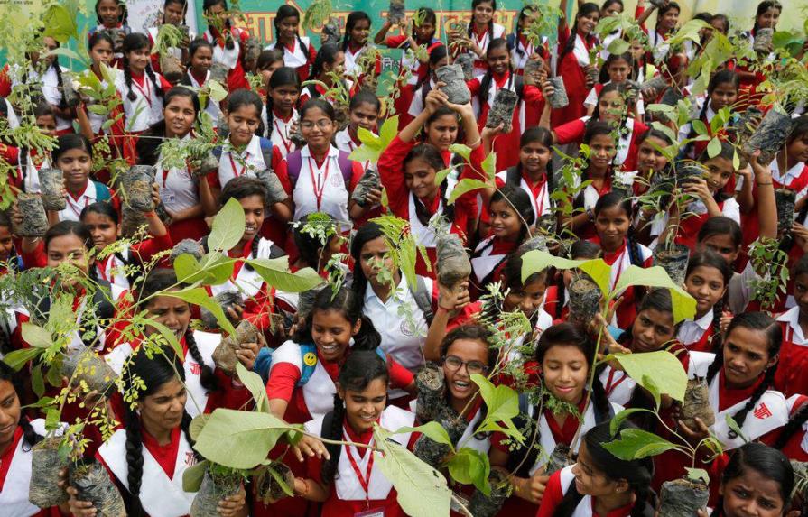 India dice que sembró 220 millones de árboles en un día