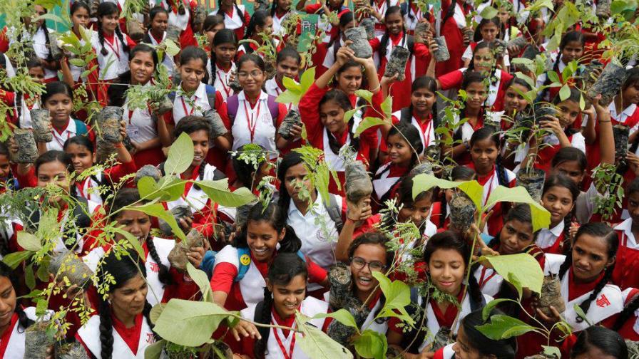 India dice que sembró 220 millones de árboles en un día