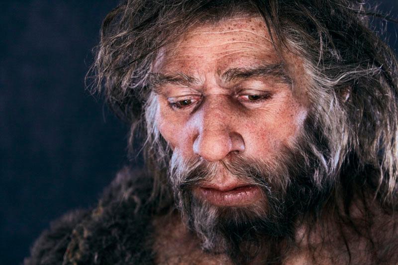 Los grupos sanguíneos de neandertales y denisovanos dan datos de su historia