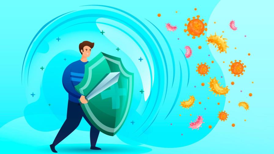 ¿Cómo entrenar el sistema inmune? ¿Cómo entrenar el sistema inmune?