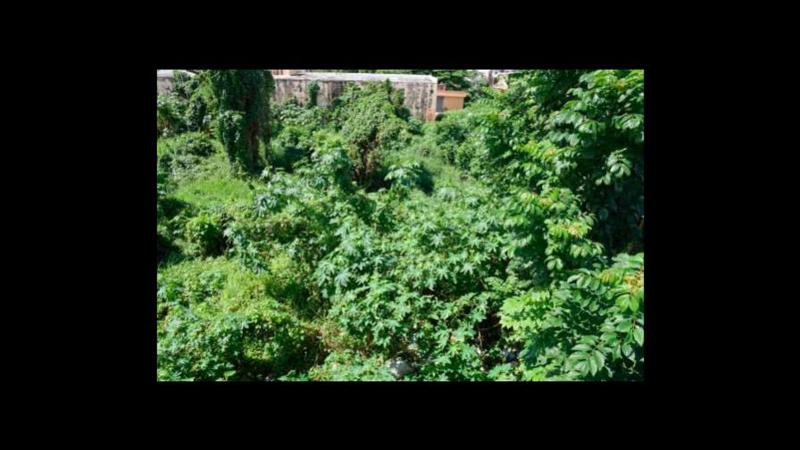 Cabildo da plazo a propietarios de solares baldíos en SDE para que los limpien 