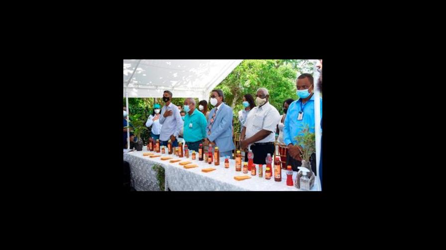 Productores apícolas sembrarán árboles para aumentar producción de miel en el Este Productores apícolas sembrarán árboles para aumentar producción de miel en el Este