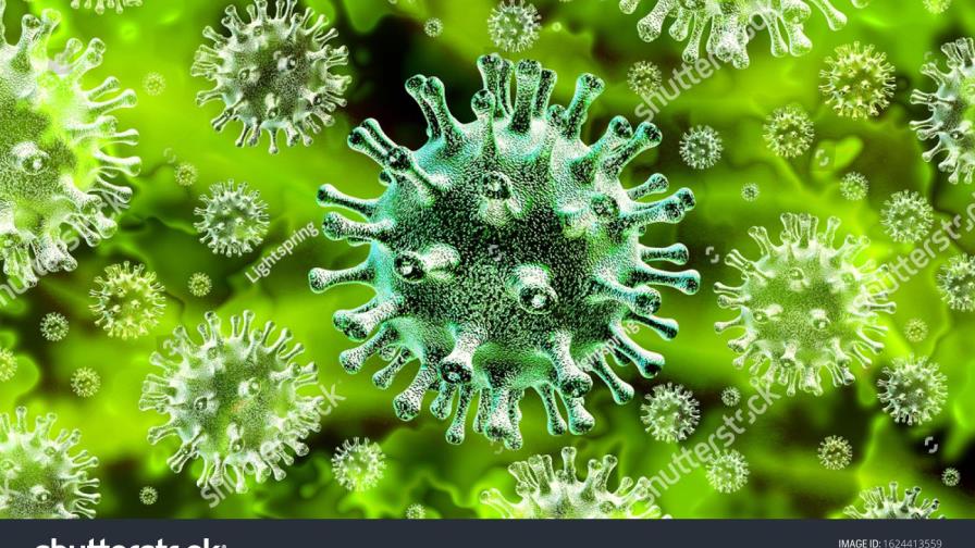 La pandemia del coronavirus se está acelerando: hay que pasar de la defensa al ataque La pandemia del coronavirus se está acelerando: hay que pasar de la defensa al ataque