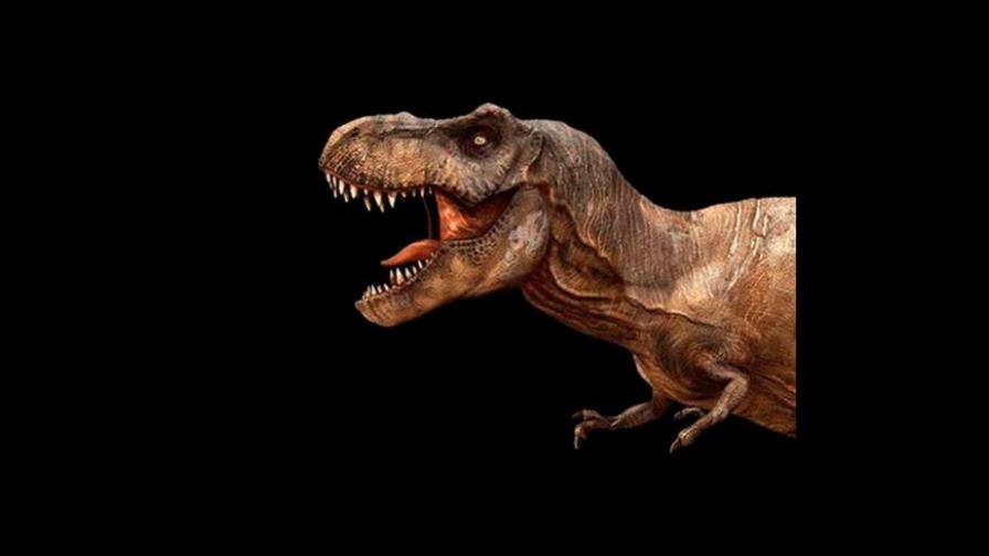 El T. Rex Stan arrasa en Nueva York y se subasta por 32 millones de dólares