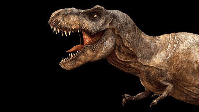 ¿Quieres poner un Tiranosaurio Rex en tu vida?