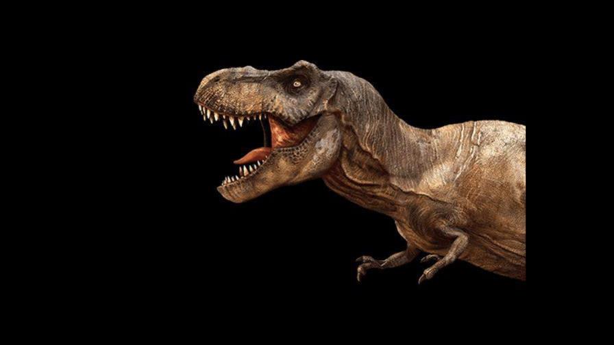 ¿Quieres poner un Tiranosaurio Rex en tu vida?