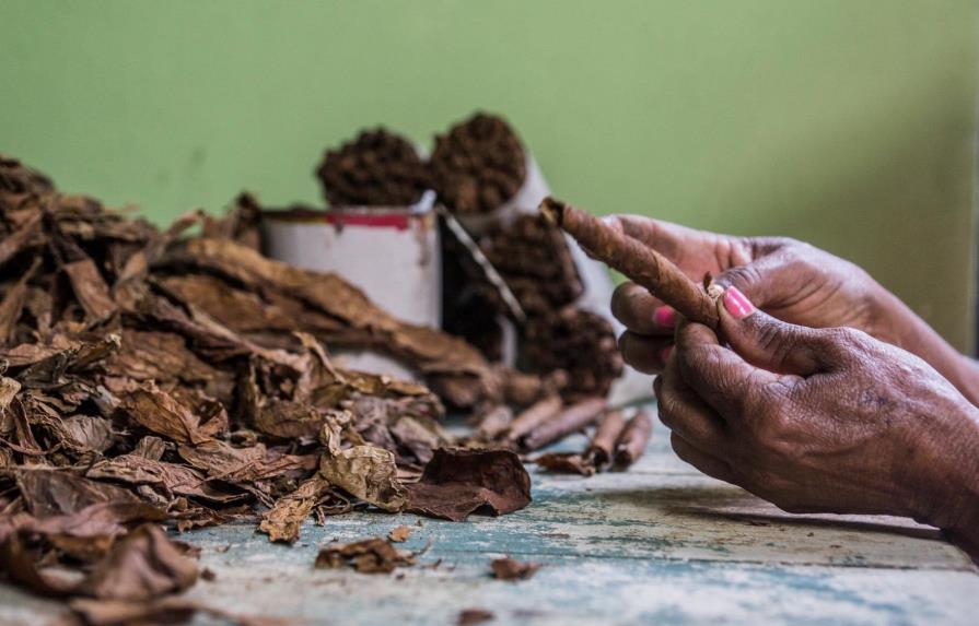 El sector tabaco dominicano genera más de 135,000 empleos
