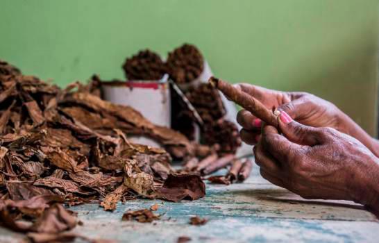 Exportaciones del sector tabaco dominicano podría alcanzar los US$900 millones este año