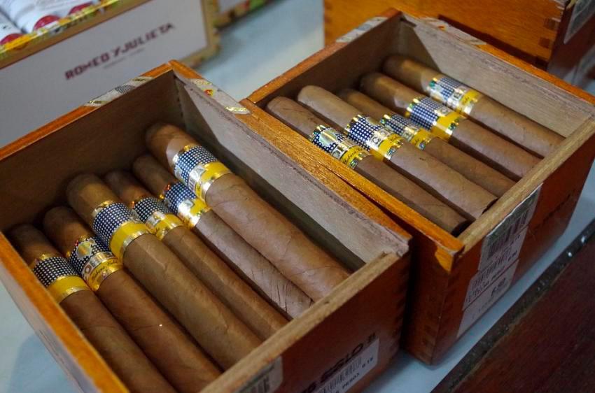 Cuba potencia producción de tabaco y el cultivo de la variedad Burley
