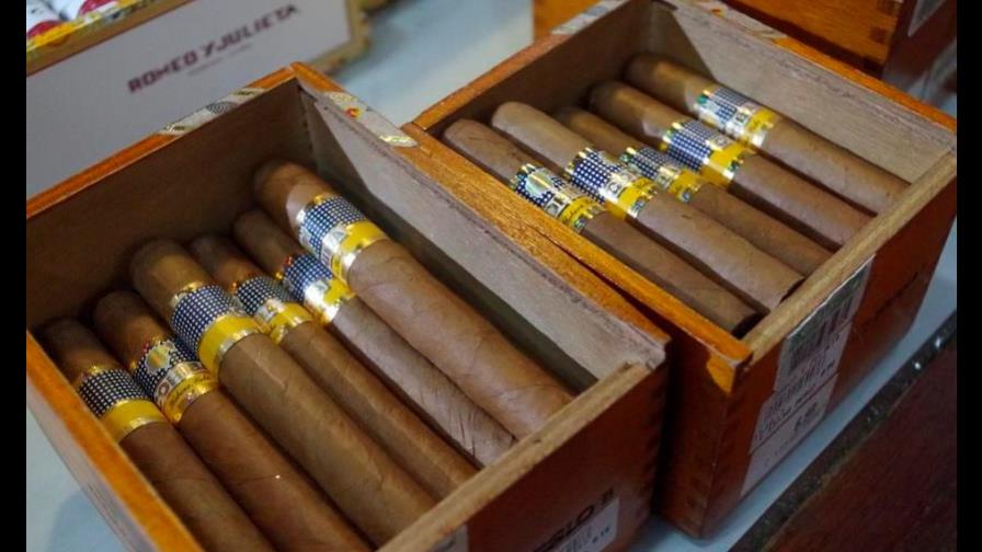 Cuba potencia producción de tabaco y el cultivo de la variedad Burley