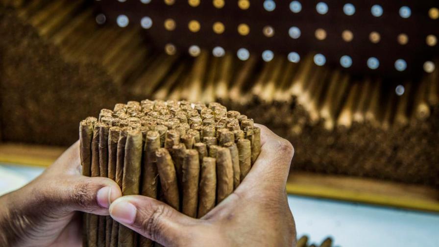 En últimos 10 años, RD exportó cerca de US$7,300 millones en tabaco