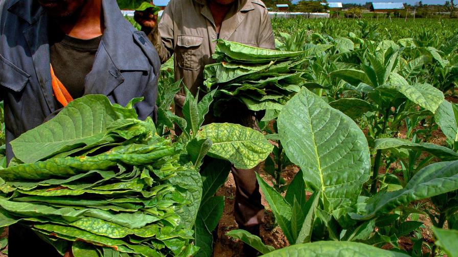 EEUU sigue como principal destino de exportaciones