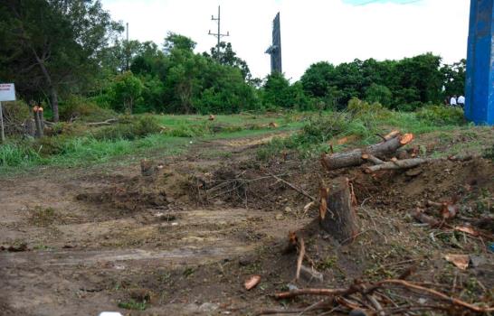 Ayuntamiento de Puñal corta decenas de árboles de caoba próximo a la autopista Duarte