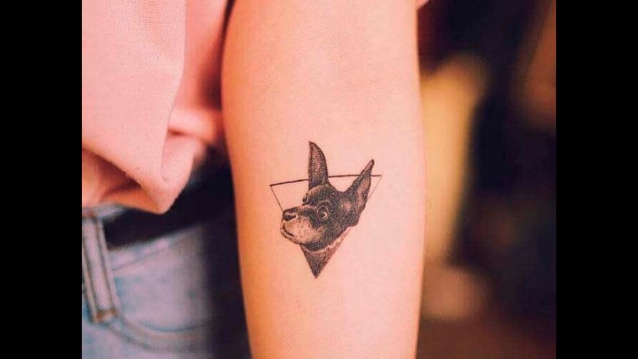 Día del Tatuaje: 7 diseños con animales y sus significados