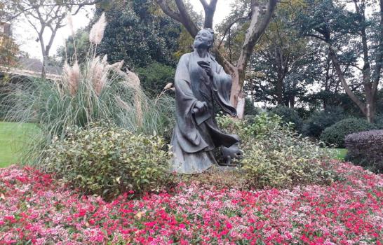 Hangzhou, el “paraíso en la tierra” que produce el mejor té verde de China