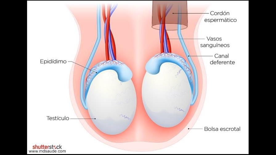 Muere un hombre que  se cercenó sus testículos