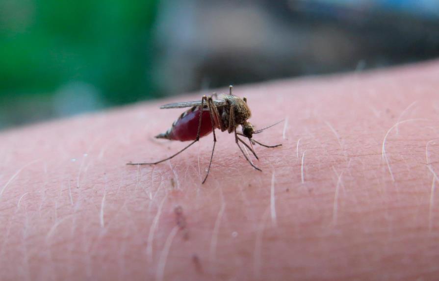 Focos de malaria están identificados, asegura Sánchez Cárdenas