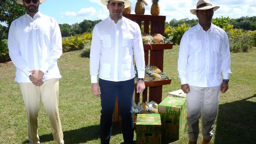 Embajadores dominicanos visitan proyecto de piñas de Monte Plata