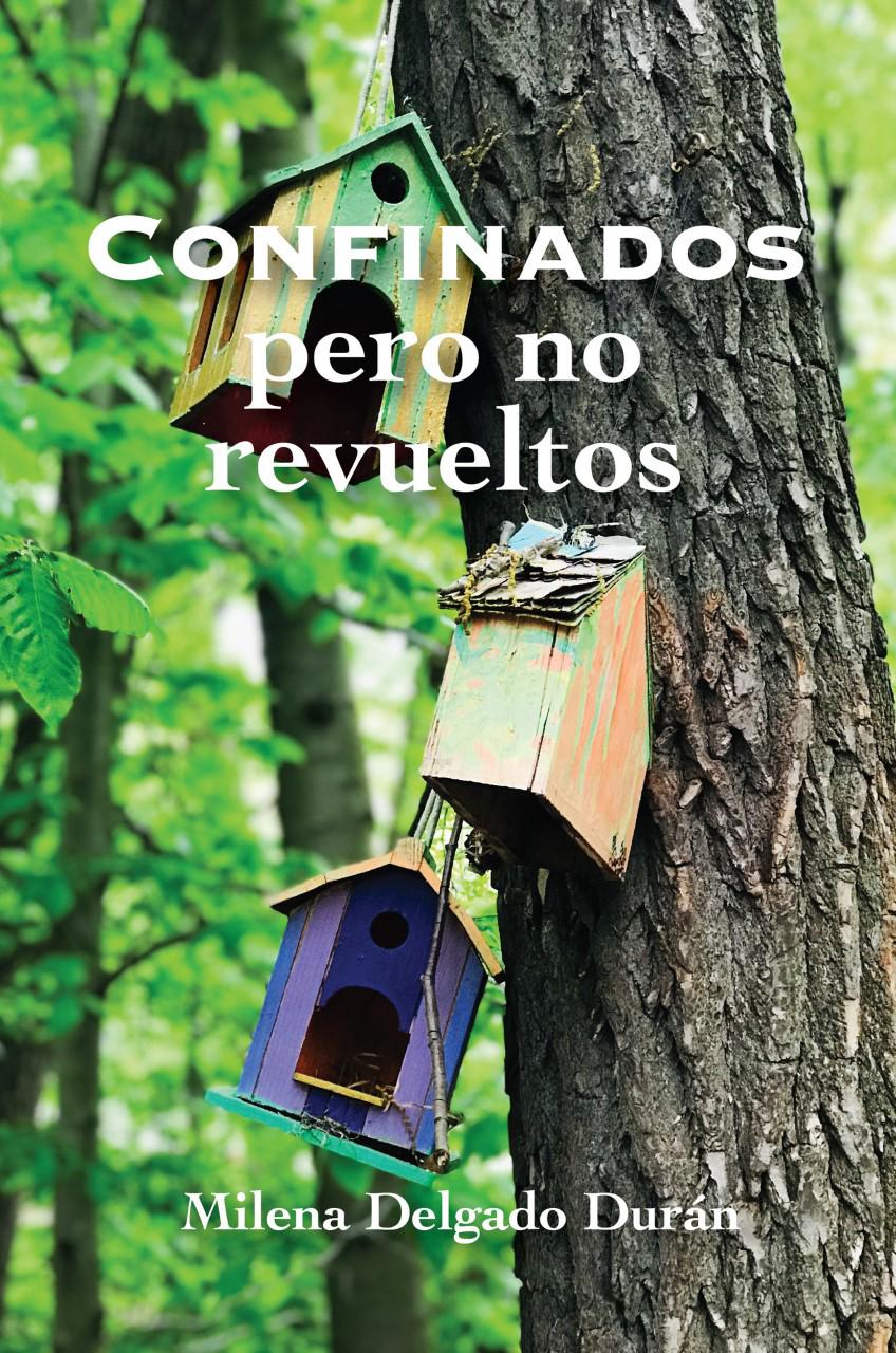 Infografía