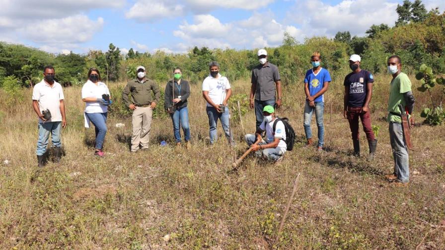 ISM Junto a EcoRed y Jardín Botánico realizan jornada de reforestación de roblillo ISM Junto a EcoRed y Jardín Botánico realizan jornada de reforestación de roblillo