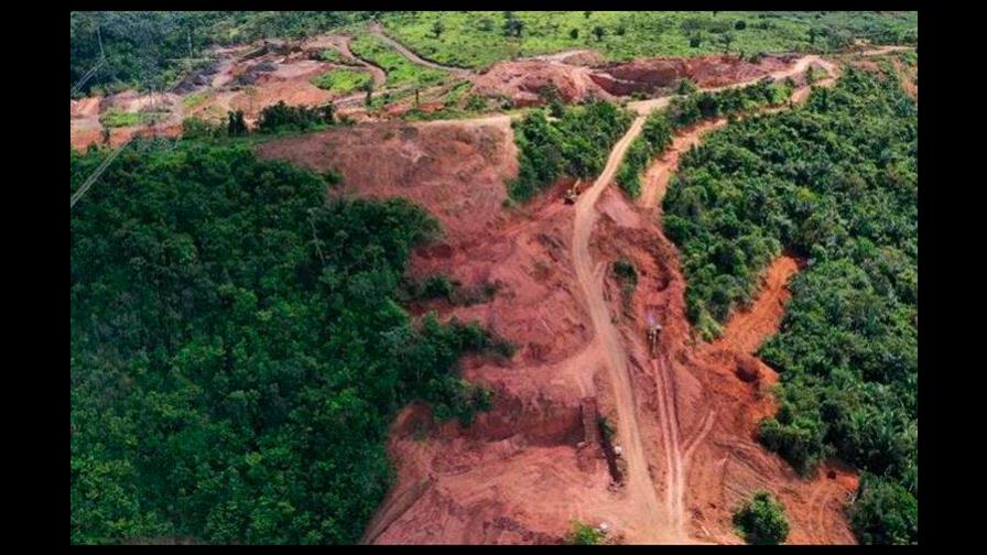 Brasil registra deforestación récord en la Amazonía en últimos 15 años