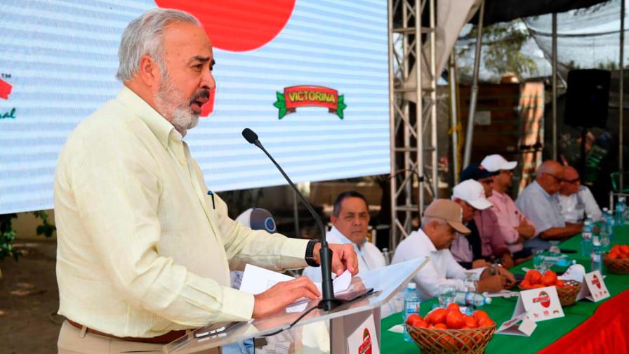 Productores de tomate piden protección del Gobierno Productores de tomate piden protección del Gobierno
