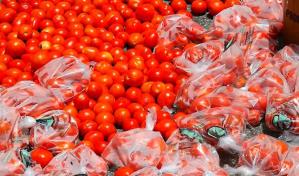 Productores de conservas del agro celebrarán gran zafra de tomate industrial