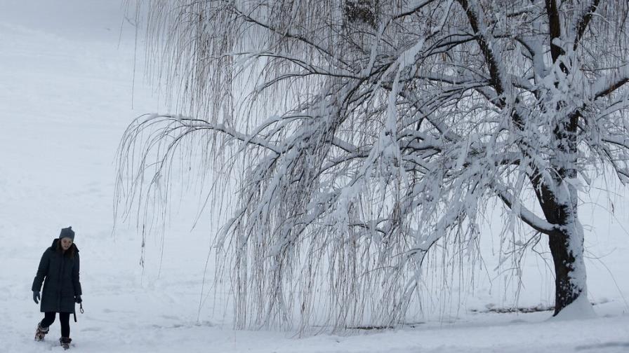 Tres muertos y más de un millar de vuelos cancelados en EE.UU. por tormenta