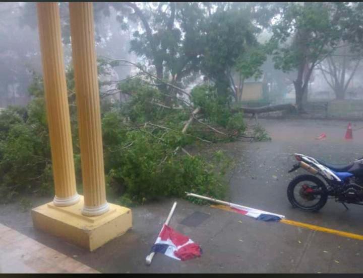 Árboles cayeron en varios puntos de Sabaneta, Santiago Rodríguez, a causa de los fuertes vientes que azotaron la zona la tarde de este sábado 4 de septiembre. Fuente externa