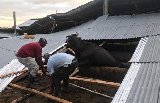 Tornado derriba plantaciones y tumba casas en Hato Mayor y Montecristi