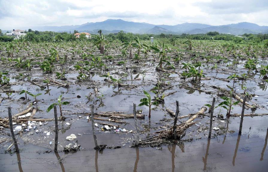 Tornado arrasó plantaciones de varias provincias del Cibao