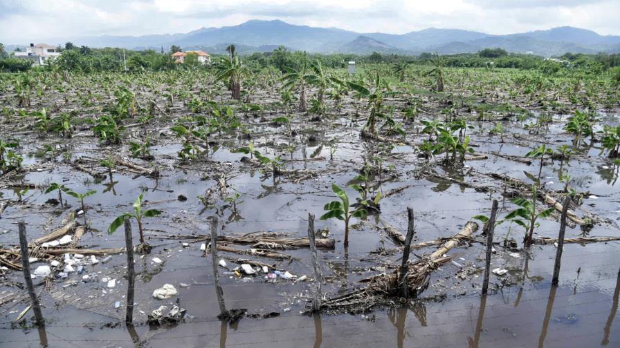 Tornado arrasó plantaciones de varias provincias del Cibao