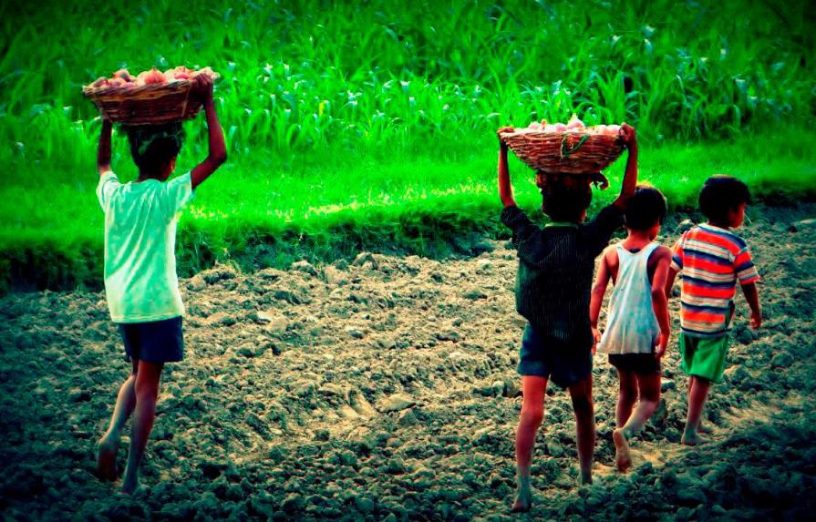 El trabajo infantil aumenta por primera vez en dos décadas