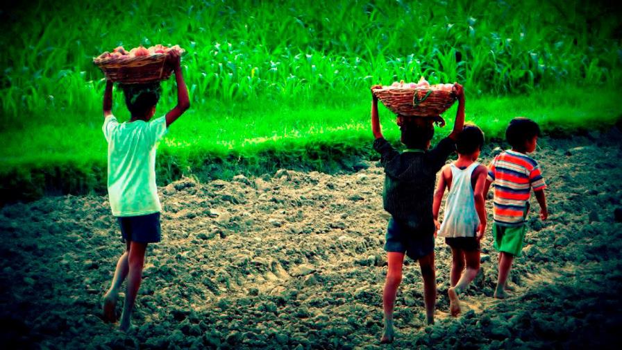 El trabajo infantil aumenta por primera vez en dos décadas El trabajo infantil aumenta por primera vez en dos décadas
