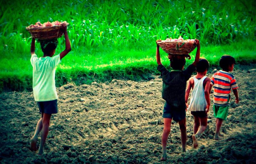 Pandemia podría aumentar trabajo infantil en República Dominicana