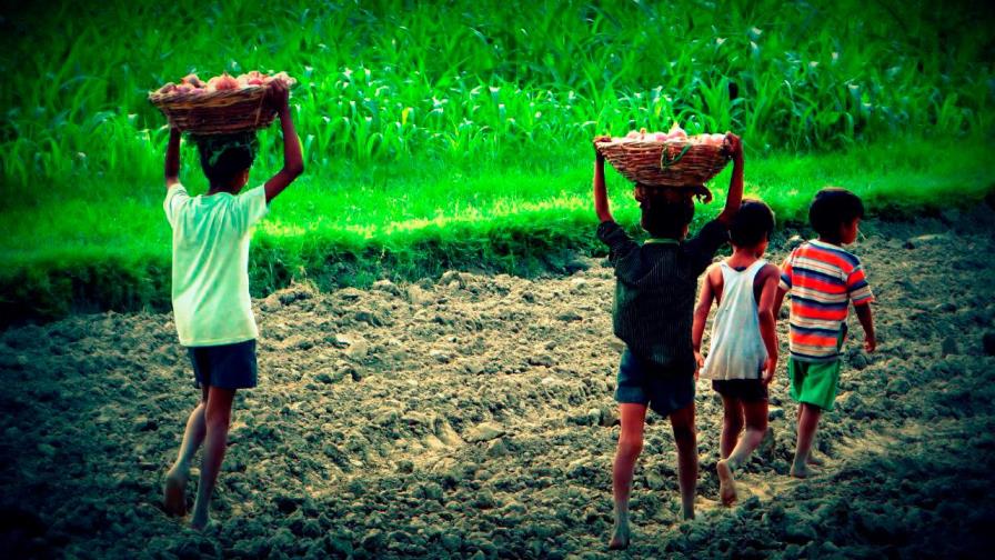 Pandemia podría aumentar trabajo infantil en República Dominicana