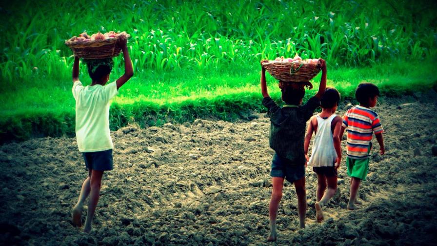 RD a la delantera contra el trabajo infantil RD a la delantera contra el trabajo infantil