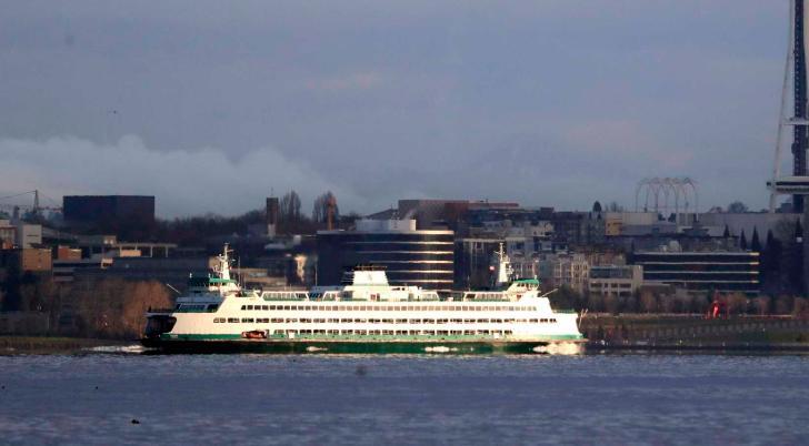 Un ferry choca a una ballena jorobada cerca de Seattle