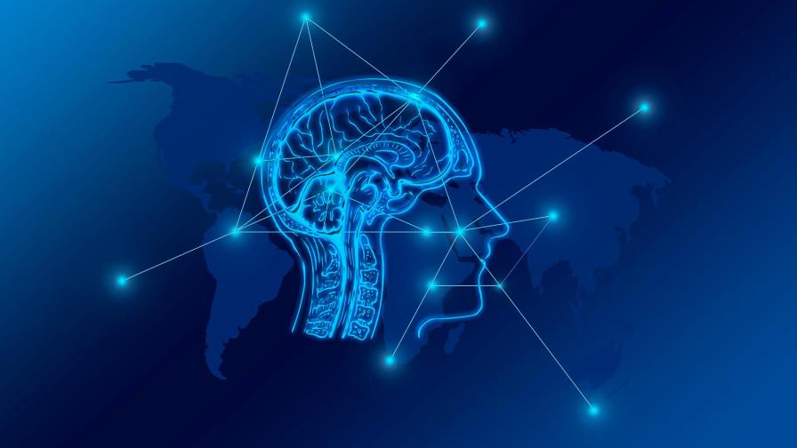 Así es como el “navegador” del cerebro calcula la ruta más corta