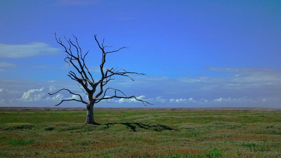 Los “signos vitales” de la Tierra se están debilitando, según científicos