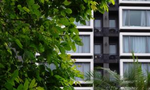 Así puedes ayudar a los árboles desatendidos de tu ciudad