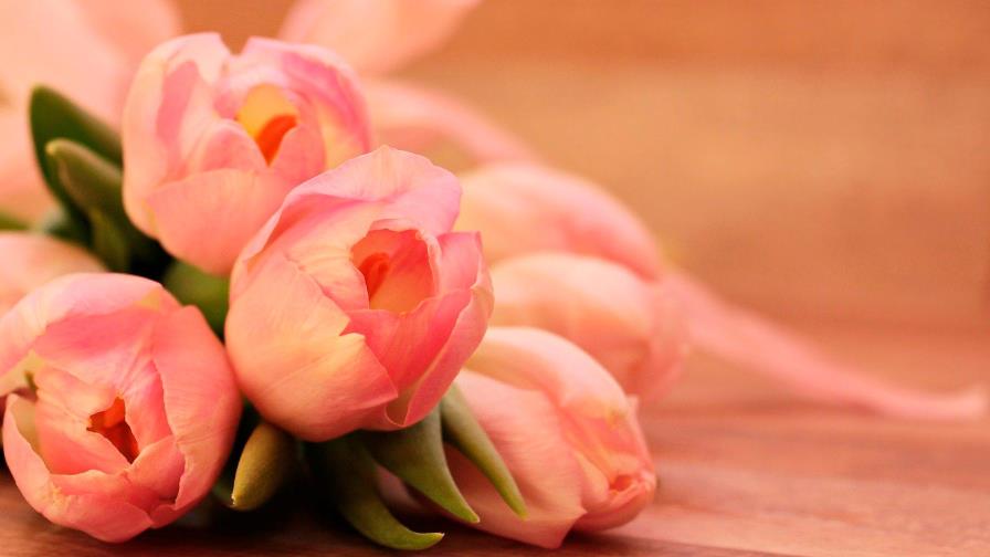 Lista de precios de flores y arreglos para San Valentín Lista de precios de flores y arreglos para San Valentín