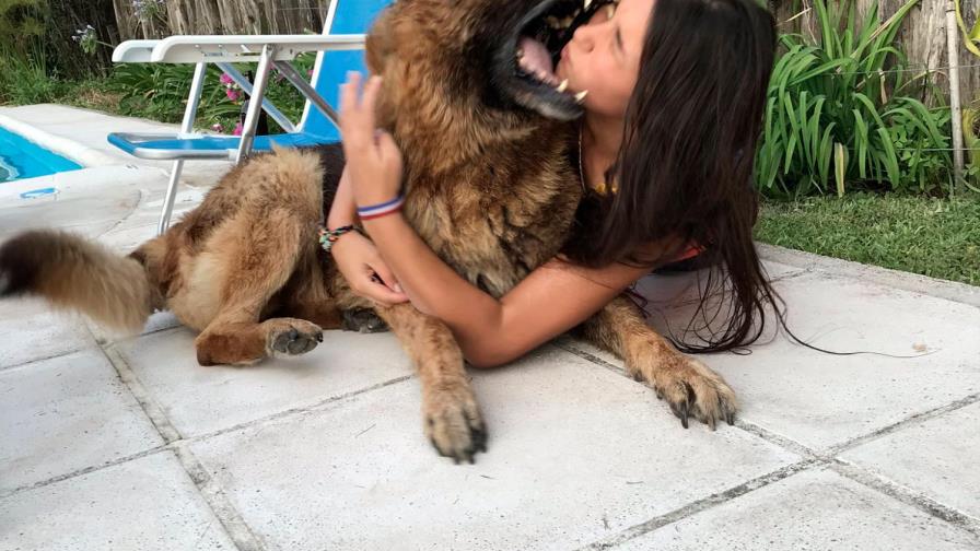 Joven termina con una mordida en la cara cuando posaba con su perro