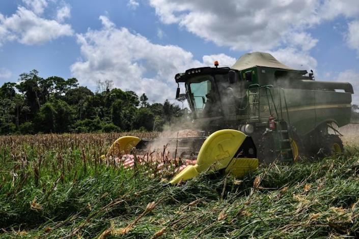 Una grave sequía amenaza producción de energía y agricultura en Brasil