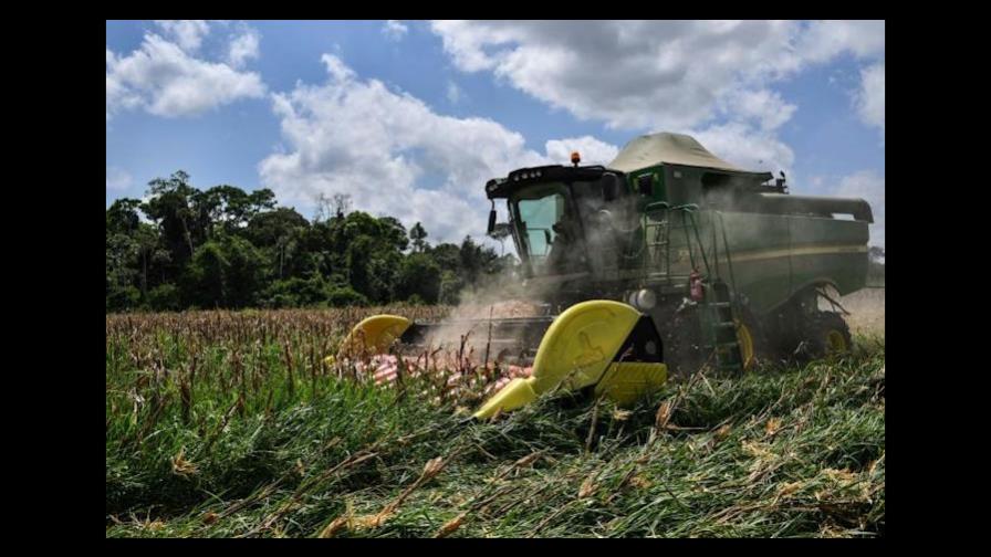 Una grave sequía amenaza producción de energía y agricultura en Brasil Una grave sequía amenaza producción de energía y agricultura en Brasil